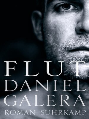 cover image of Flut
